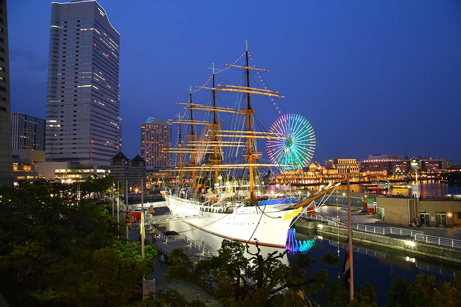 ձΙMIҹSail Training Ship Nippon Maru