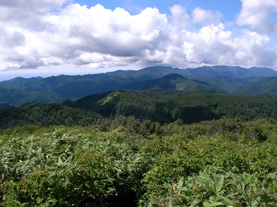 13.白神山地