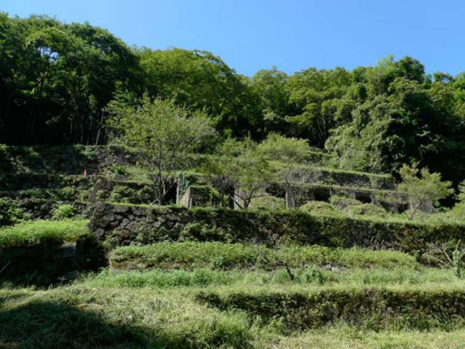 11.石見銀山遺址及文化景觀